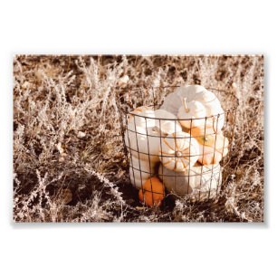 Bauernhof Pumpkin Harvest Basket Fotodruck