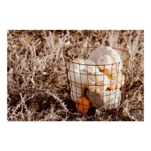 Bauernhof Pumpkin Harvest Basket Poster