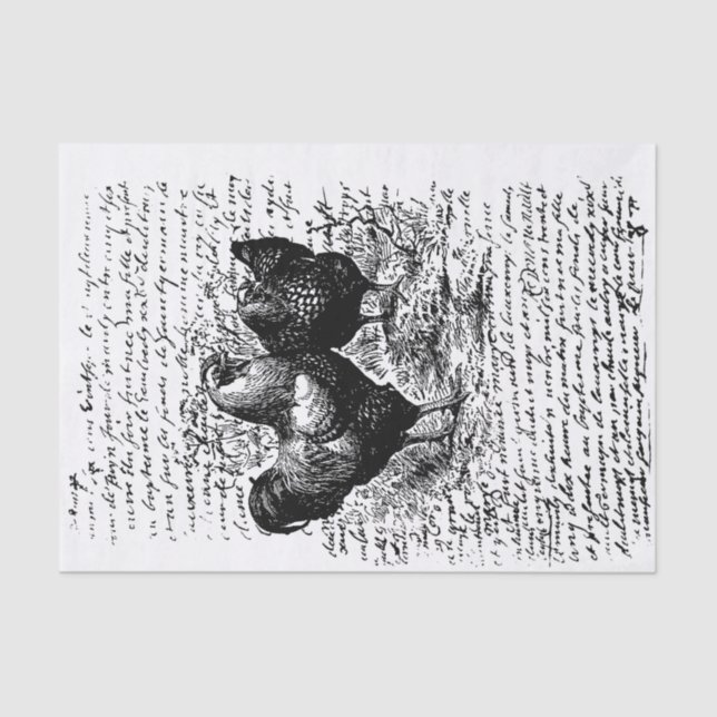 Bauernhof Rooster Vintage Entdeckung Seidenpapier (Vorderseite)