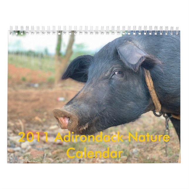 Bauernhof-Schwein-Entwurf Kalender (Titelbild)