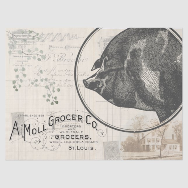 Bauernhof Schweinefleischteppich Geschenkpapier Wr Seidenpapier (Vorderseite)