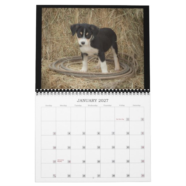 Bauernhof-Welpen-Kalender Kalender (Jan 2027)