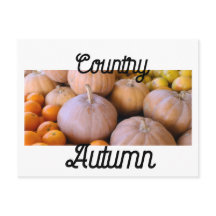 Bauernmarkt Pumpkins Land Herbst