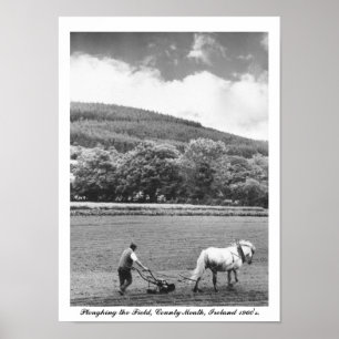 Bauers- u. Pferdepflug, Sechzigerjahre Irland, Co. Poster