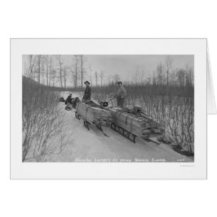 Bauholz-Hund Seward, Alaska 1917