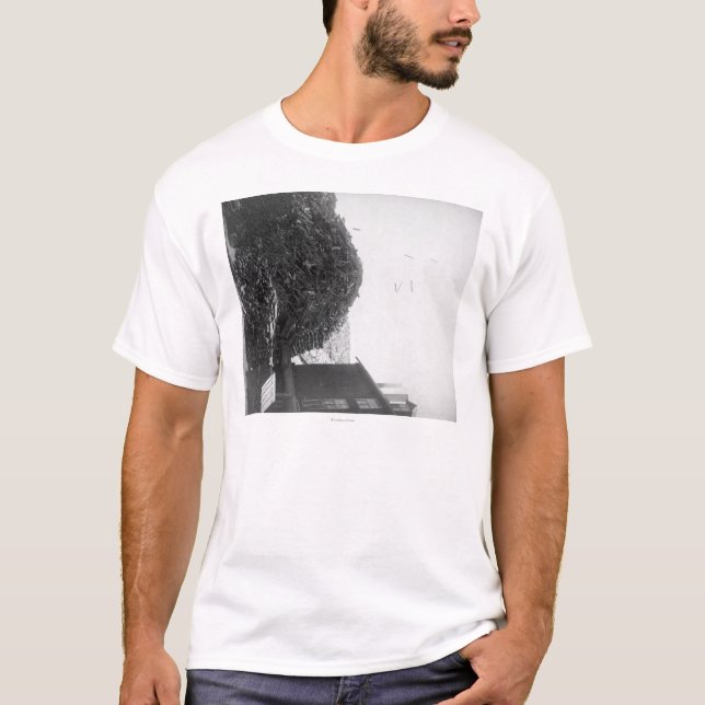 Bauholz-Stapel außerhalb der Fotografie De Smet T-Shirt (Vorderseite)