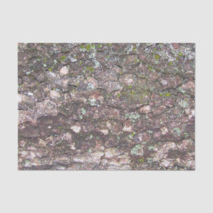 Baum 2 - Moos auf Rinde Seidenpapier