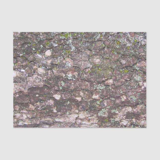 Baum 2 - Moos auf Rinde Seidenpapier (Vorderseite)