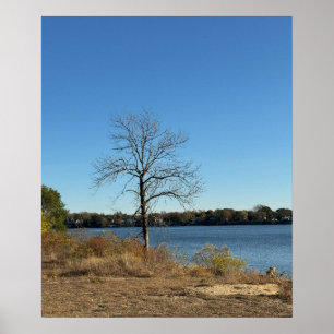 Baum am Fluss Poster