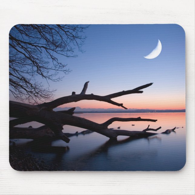 Baum am Starnberger See | Muensing Bavaria Deutsch Mousepad (Vorne)