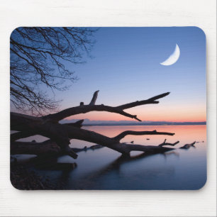 Baum am Starnberger See Muensing Bayern Deutschl Mousepad