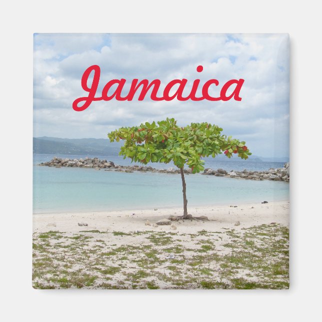 BAUM AM STRAND VON JAMAICA MAGNET (Vorne)