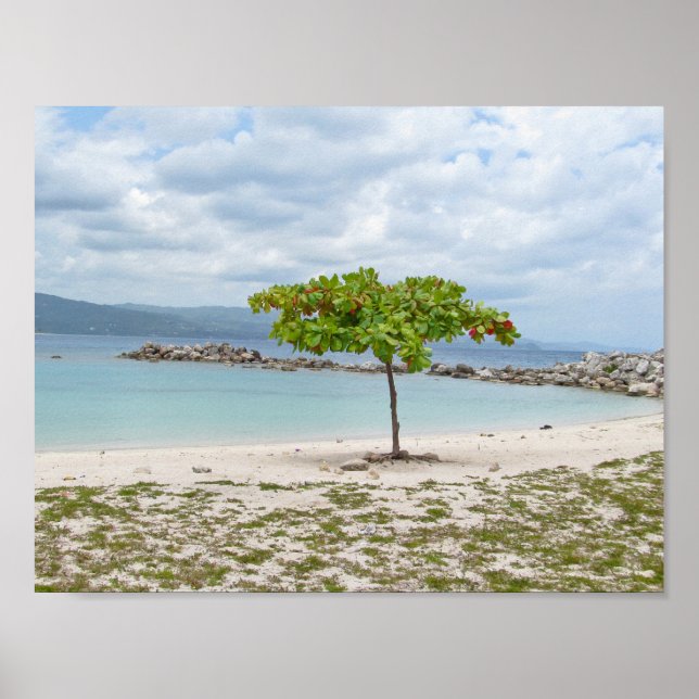 BAUM AM STRAND VON JAMAICA POSTER (Vorne)