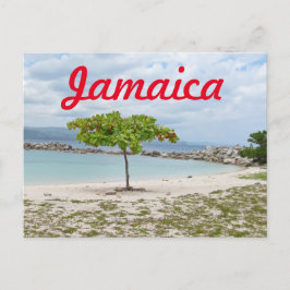 BAUM AM STRAND VON JAMAIKA POSTKARTE
