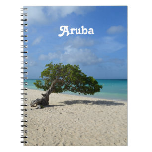 Baum Arubas Divi Divi Notizblock