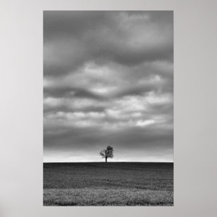 Baum auf dem Hügel Poster