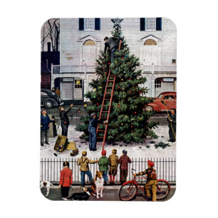 Baum auf dem Stadtplatz Magnet