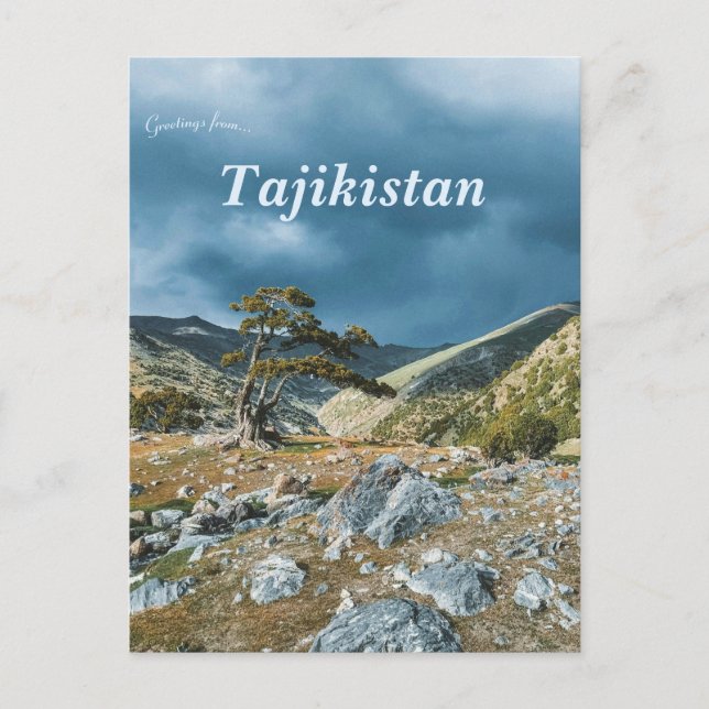 Baum auf den Fann-Bergen in Tadschikistan Postkarte (Vorderseite)