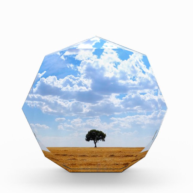 Baum auf einem geernteten Weizenfeld Fotoblock (Vorderseite)