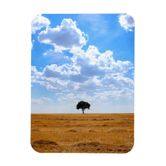 Baum auf einem geernteten Weizenfeld Magnet (Vertikal)