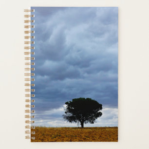 Baum auf einem leeren Feld Planer