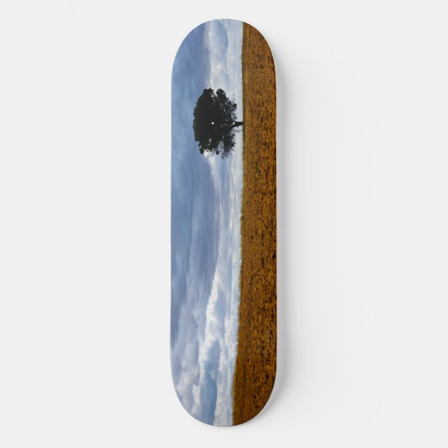 Baum auf einem leeren Feld Skateboard (Vorderseite)