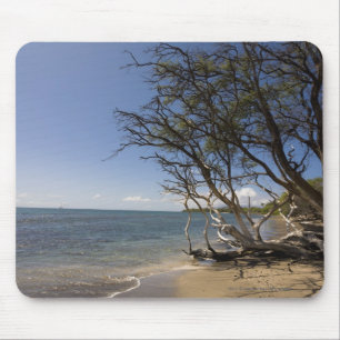 Baum auf einem Strand entlang der Küstenlinie Mousepad