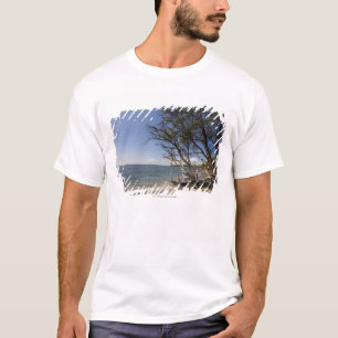 Baum auf einem Strand entlang der Küstenlinie T-Shirt