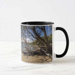 Baum auf einem Strand entlang der Küstenlinie Tasse