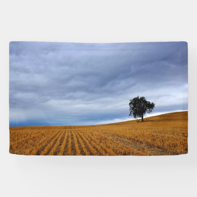 Baum auf einem Weizenfeld Banner (Horizontal)