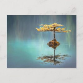 BAUM AUF EINER INSELPOSTKARTE POSTKARTE