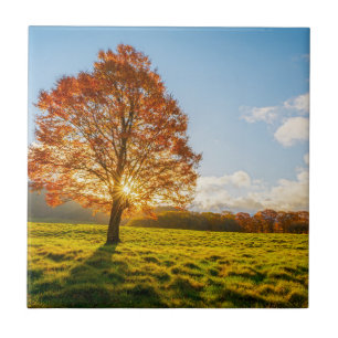Baum auf Feuer Fliese