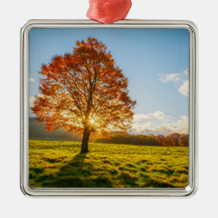 Baum auf Feuer Ornament Aus Metall