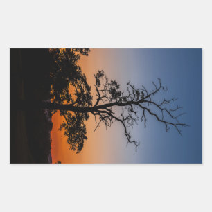 Baum auf Sonnenuntergang Rechteckiger Aufkleber