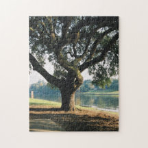 Baum auf Stock-Fluss