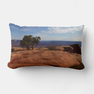 Baum aus roten Felsen I in Canyonlands Lendenkissen