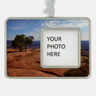 Baum aus roten Felsen I in Canyonlands Rahmen-Ornament Silber