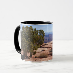 Baum aus roten Felsen II im Canyonlands Tasse