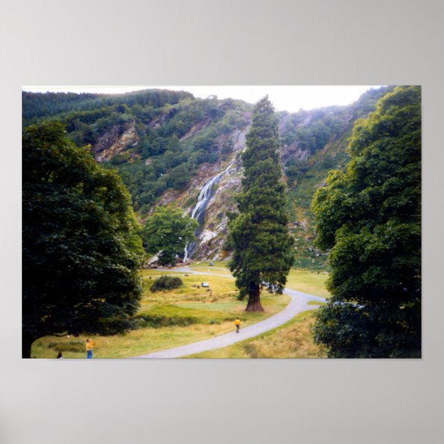 Baum bei Powerscourt Falls Poster (Vorne)