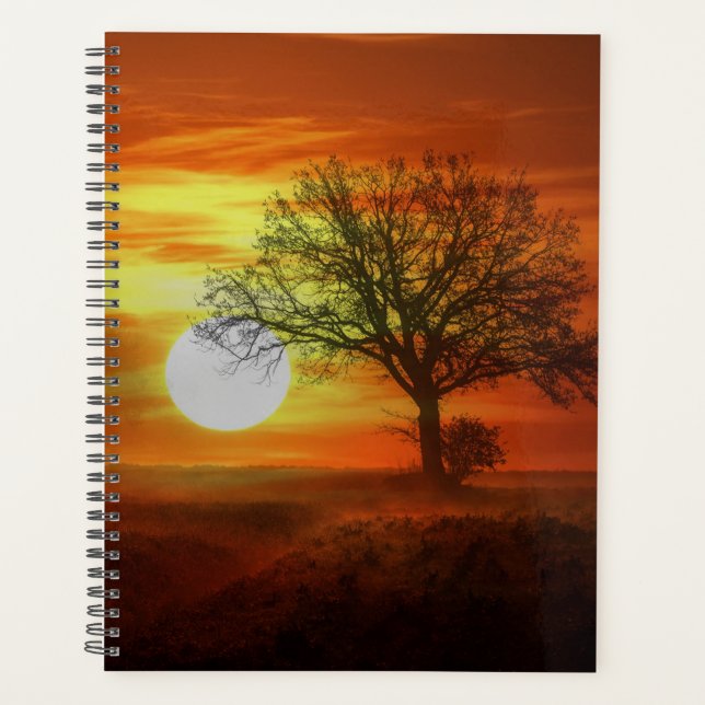 Baum bei Sonnenuntergang Planer (Vorderseite)