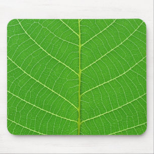 Baum-Blattbeschaffenheit der Natur grüne Mousepad