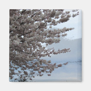 Baum-Blüten-Kühlschrankmagnet Magnet