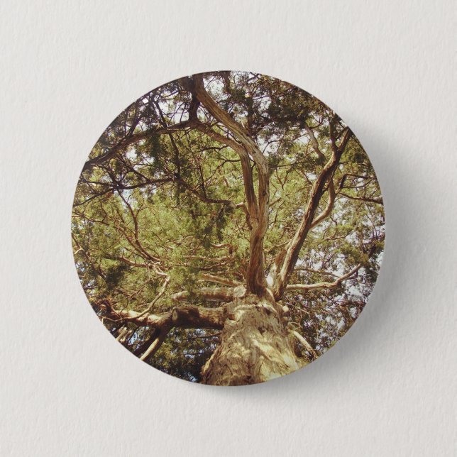 Baum Button (Vorderseite)