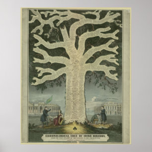 Baum der irischen Geschichte Poster