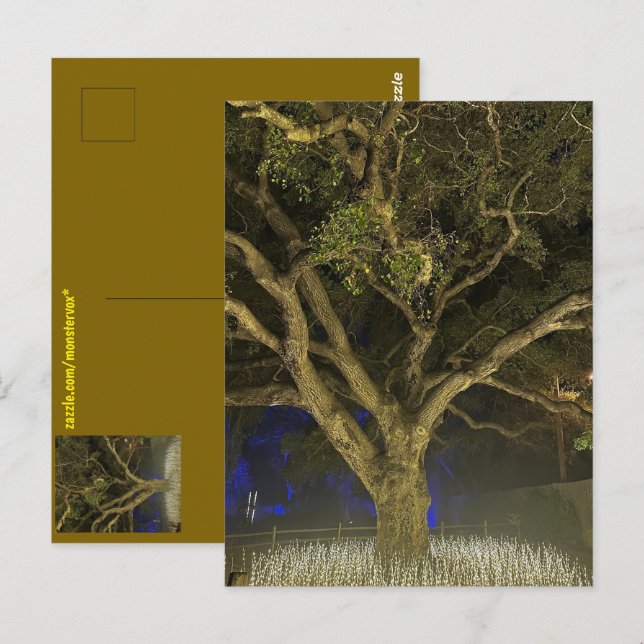 Baum der Lichtpostkarte Postkarte (Vorne/Hinten)