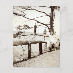 Baum der Vergangenheit Postkarte