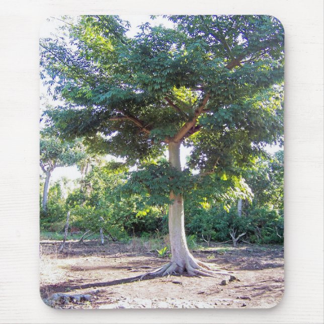 Baum der Weisheit-Mousepad Mousepad (Vorne)