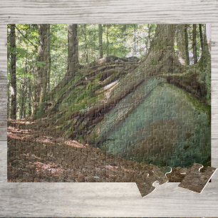Baum der Widerstandsfähigkeit der Natur auf Felsen Puzzle