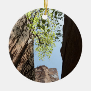Baum, der zwischen Felsen im Zion-Nationalpark wäc Keramikornament