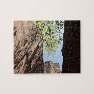 Baum, der zwischen Felsen im Zion-Nationalpark wäc Puzzle